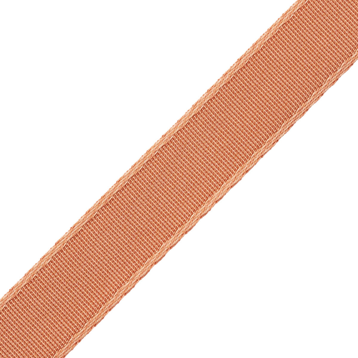 1" (25 Mm) Francoise Border Trim by Samuel & Sons in Salmon