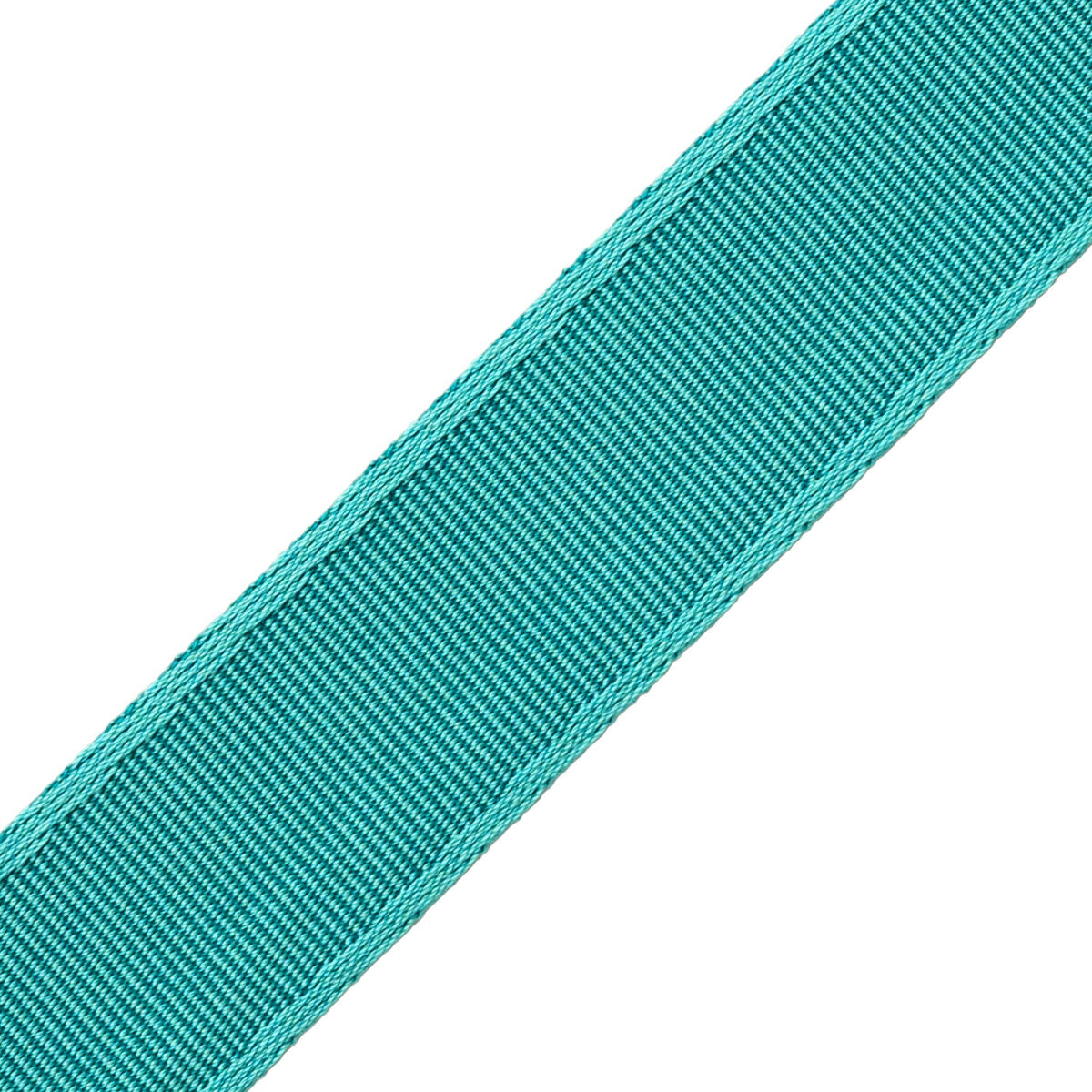 1.5" (38 Mm) Francoise Border Trim by Samuel & Sons in Capri