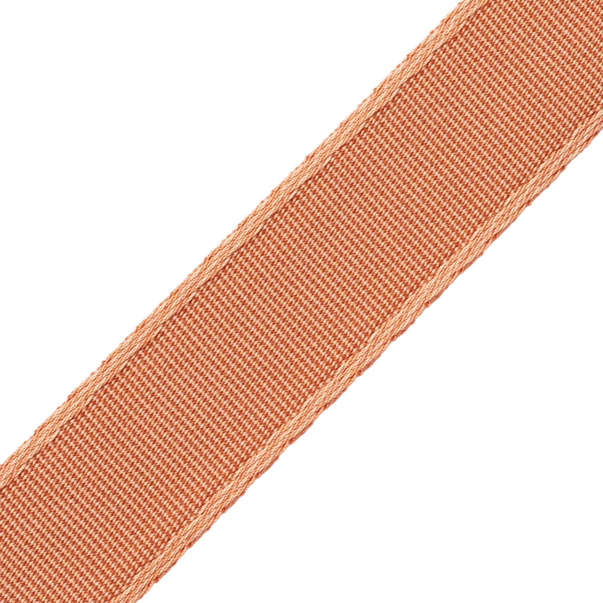 1.5" (38 Mm) Francoise Border Trim by Samuel & Sons in Salmon