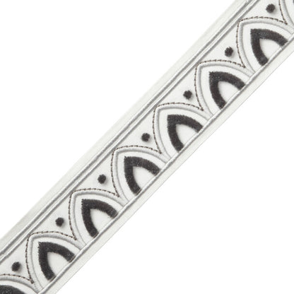 Alessia Velvet Border Trim by Samuel & Sons in Silver Light