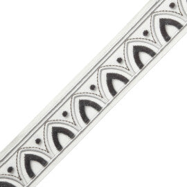 Alessia Velvet Border Trim by Samuel & Sons in Silver Light