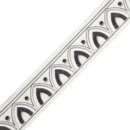 Alessia Velvet Border Trim by Samuel & Sons in Silver Light