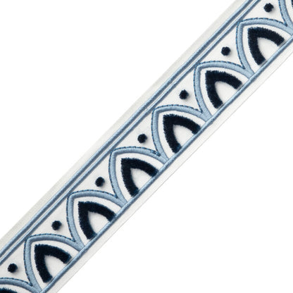 Alessia Velvet Border Trim by Samuel & Sons in Cerulean Blue