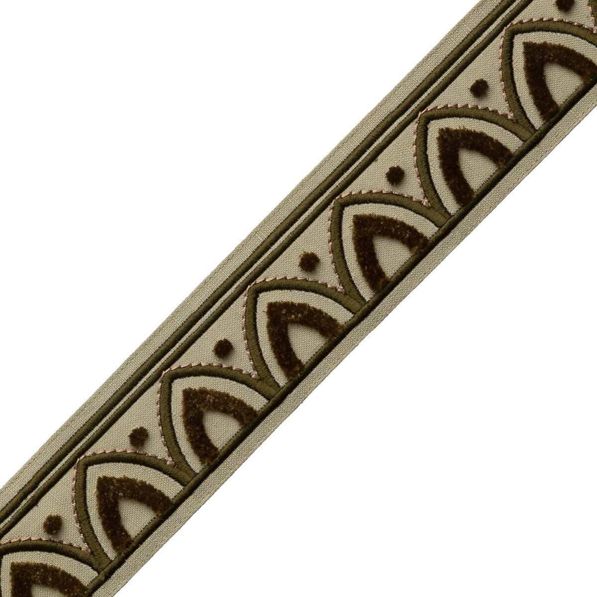 Alessia Velvet Border Trim by Samuel & Sons in Sage