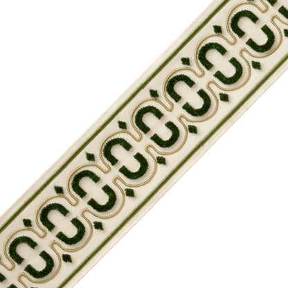 Flórián Velvet Border Trim by Samuel & Sons in Basil