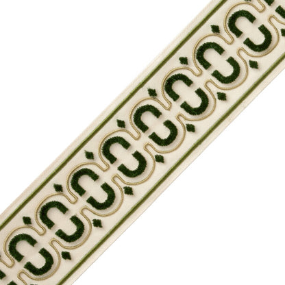 Flórián Velvet Border Trim by Samuel & Sons in Basil