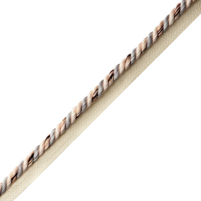 Elementi Cord With Tape Trim by Samuel & Sons in Tartufo