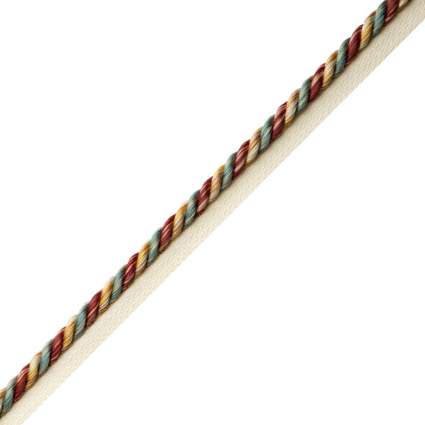 Elementi Cord With Tape Trim by Samuel & Sons in Castagna
