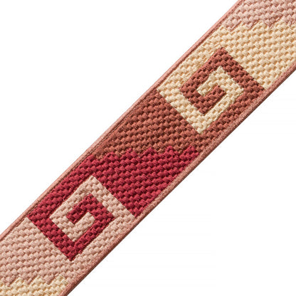 Mojave Embroidered Border Trim by Samuel & Sons in Cactus Bloom