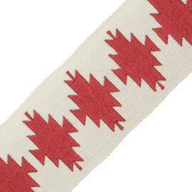 Abiquiú Embroidered Border Trim by Samuel & Sons in Cactus Bloom