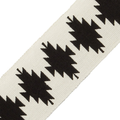 Abiquiú Embroidered Border Trim by Samuel & Sons in Pinon
