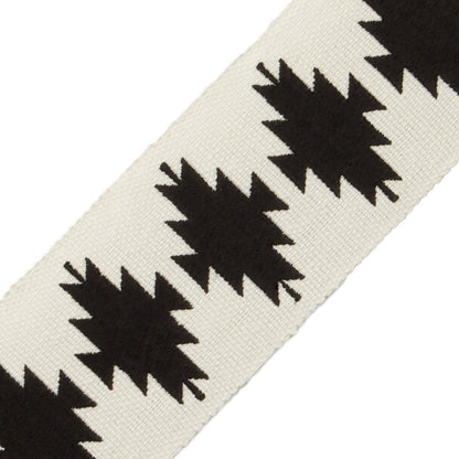 Abiquiú Embroidered Border Trim by Samuel & Sons in Pinon