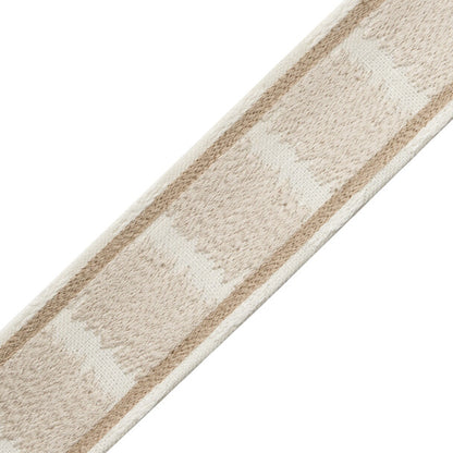 Taos Embroidered Border Trim by Samuel & Sons in White Sands