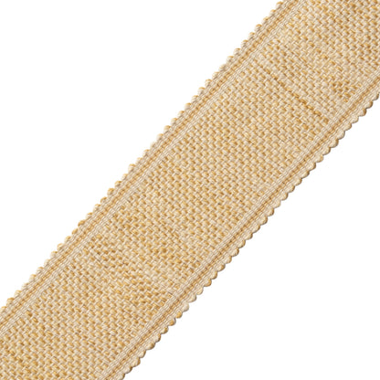 Dorset Tweeded Border Trim by Samuel & Sons in Honey