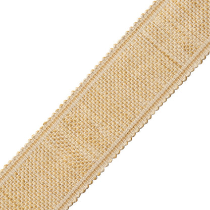Dorset Tweeded Border Trim by Samuel & Sons in Honey