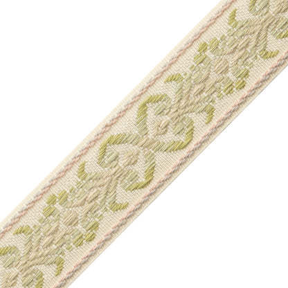 Dorset Botanical Border Trim by Samuel & Sons in Leaf