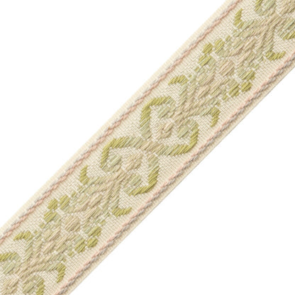 Dorset Botanical Border Trim by Samuel & Sons in Leaf