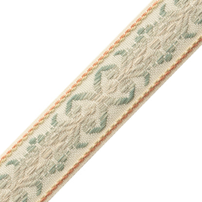 Dorset Botanical Border Trim by Samuel & Sons in Aquamarine