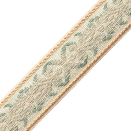 Dorset Botanical Border Trim by Samuel & Sons in Aquamarine