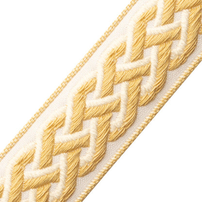 Dorset Braided Border Trim by Samuel & Sons in Honey