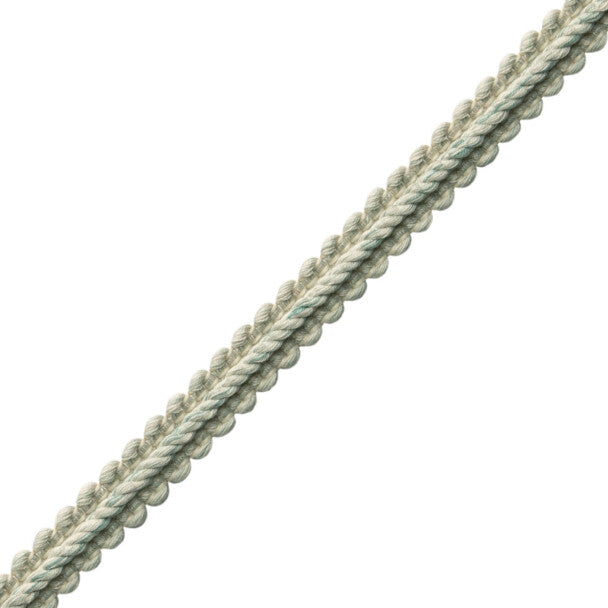 Dorset Gimp Trim by Samuel & Sons in Aquamarine