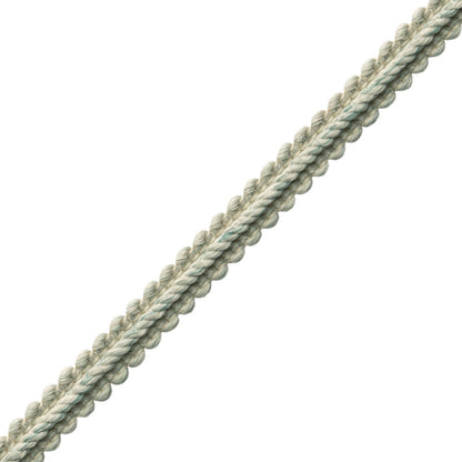 Dorset Gimp Trim by Samuel & Sons in Aquamarine