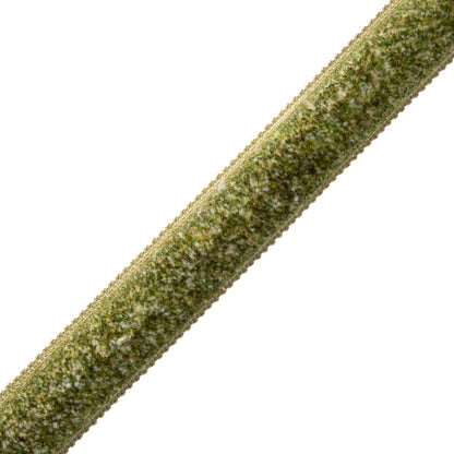 Bagatelle Marabout Trim by Samuel & Sons in Fern