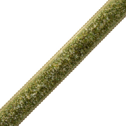 Bagatelle Marabout Trim by Samuel & Sons in Fern