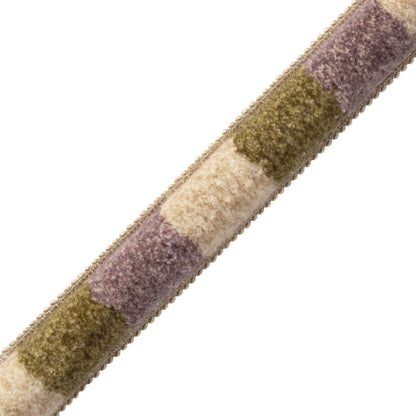 Bagatelle Blocked Marabout Trim by Samuel & Sons in Wisteria
