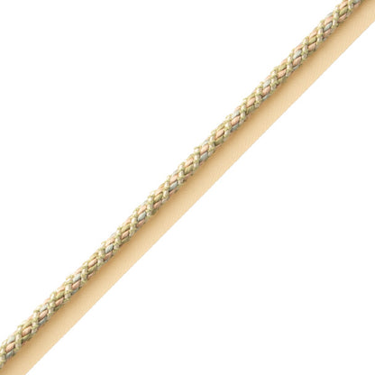 Bagatelle Cord With Tape Trim by Samuel & Sons in Bloom
