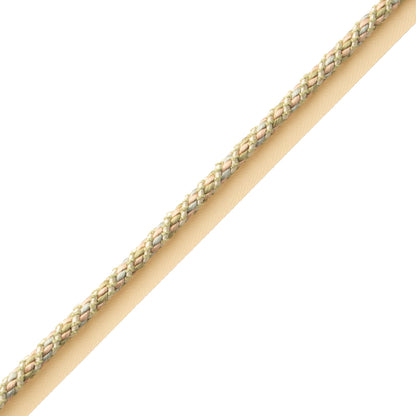 Bagatelle Cord With Tape Trim by Samuel & Sons in Bloom
