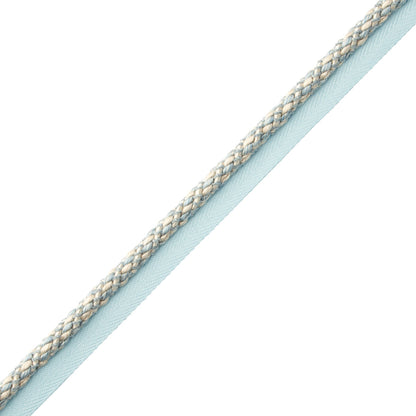 Bagatelle Cord With Tape Trim by Samuel & Sons in Hydrangea