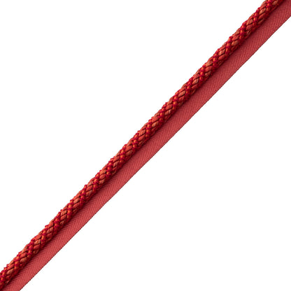 Bagatelle Cord With Tape Trim by Samuel & Sons in Scarlet Rose