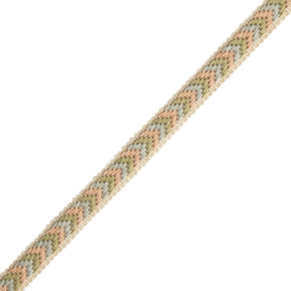 Bagatelle Gimp Trim by Samuel & Sons in Bloom