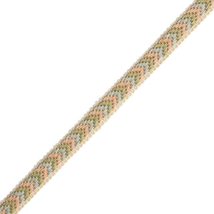 Bagatelle Gimp Trim by Samuel & Sons in Bloom