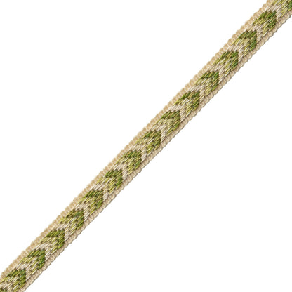 Bagatelle Gimp Trim by Samuel & Sons in Fern