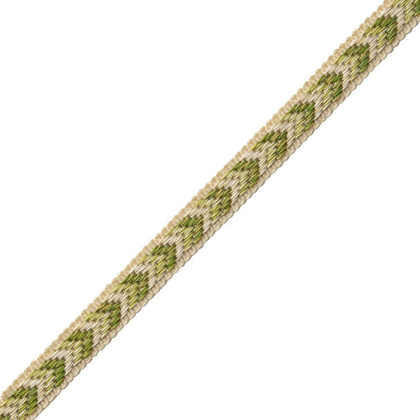 Bagatelle Gimp Trim by Samuel & Sons in Fern