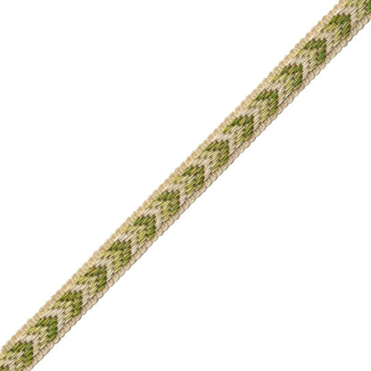 Bagatelle Gimp Trim by Samuel & Sons in Fern