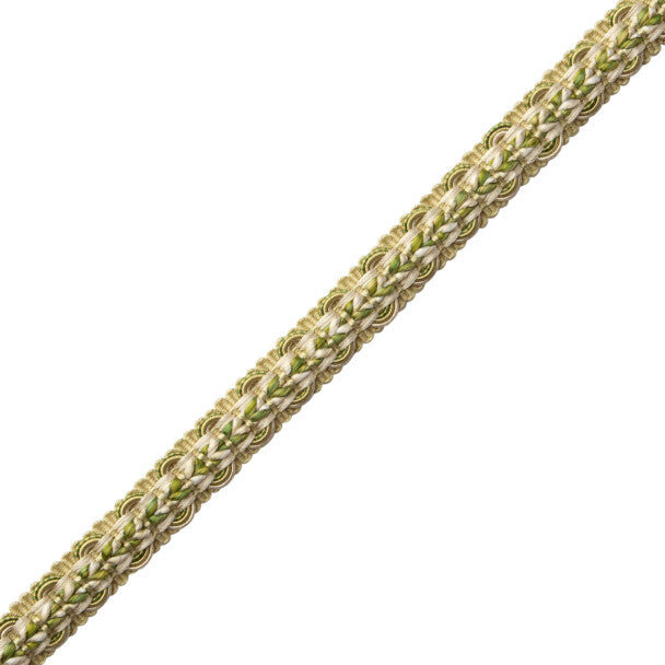 Bagatelle Braided Gimp Trim by Samuel & Sons in Fern