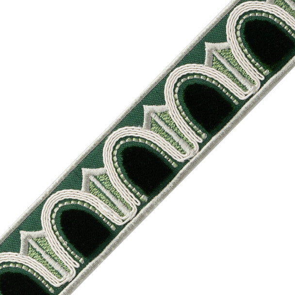 Dorian Velvet Border Trim by Samuel & Sons in Evergreen