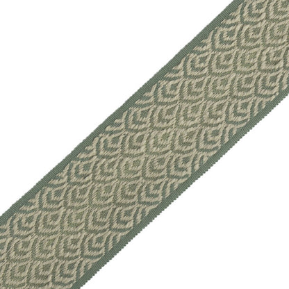 Cavallo Border Trim by Samuel & Sons in Willow