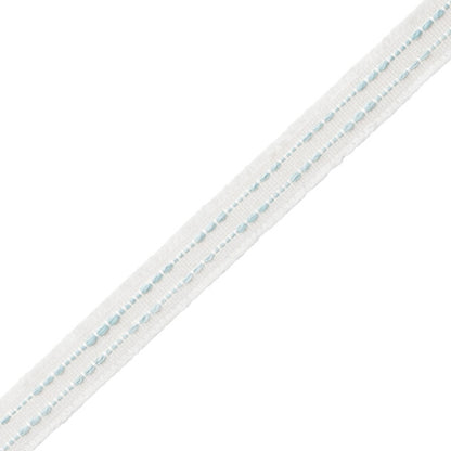 Cavallo Gimp Trim by Samuel & Sons in Aquamarine