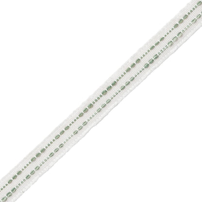 Cavallo Gimp Trim by Samuel & Sons in Willow