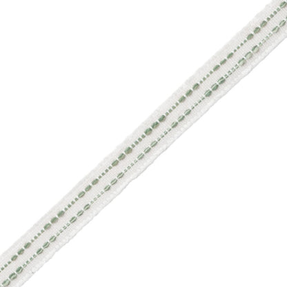 Cavallo Gimp Trim by Samuel & Sons in Willow