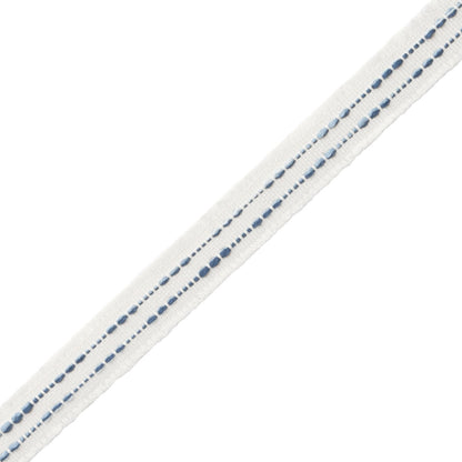 Cavallo Gimp Trim by Samuel & Sons in Ocean