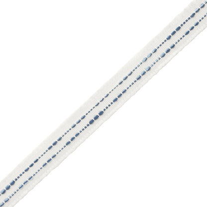 Cavallo Gimp Trim by Samuel & Sons in Ocean