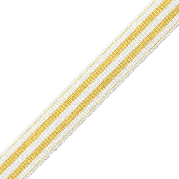 Mds 1" (26 Mm) Stripe Border Trim by Samuel & Sons in Jonquil
