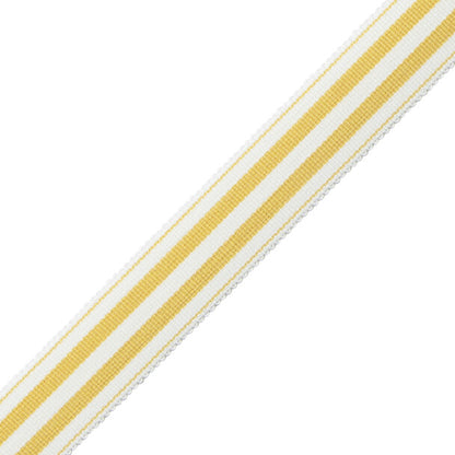 Mds 1" (26 Mm) Stripe Border Trim by Samuel & Sons in Jonquil