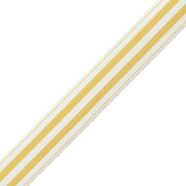 Mds 1" (26 Mm) Stripe Border Trim by Samuel & Sons in Jonquil