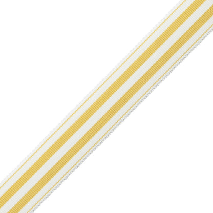 Mds 1" (26 Mm) Stripe Border Trim by Samuel & Sons in Jonquil